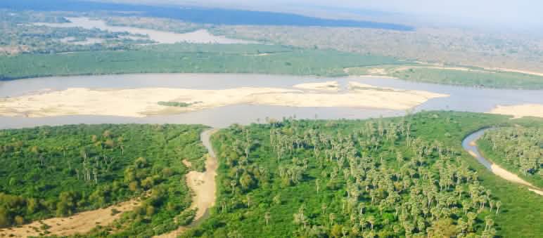 Selous Game Reserve Landscape